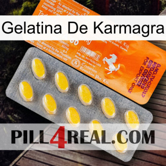 Karmagra Jelly new05